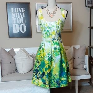 Nine West Princess Cut Dress With Pockets (6)